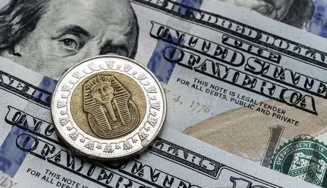 استقرار سعر الدولار أمام الجنيه بختام تعاملات السبت 20 سبتمبر
