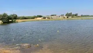 ارتفاع منسوب النيل يهدد محافظات مصرية.. غرق أراضي ومنازل وتحذيرات حكومية