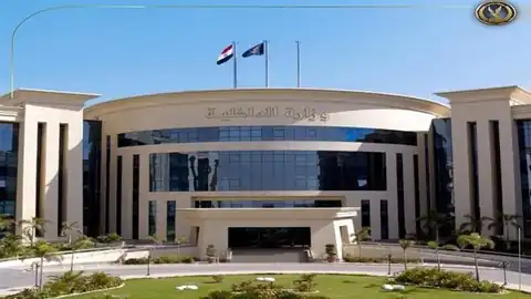 الداخلية: إنهاء خدمة فرد شرطة لتجاوزه تجاه مواطن في أسيوط