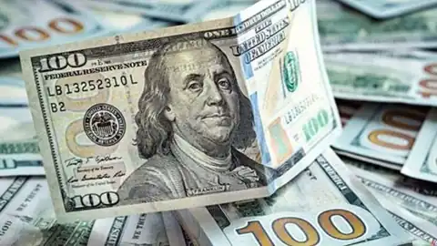 سعر الدولار اليوم الخميس 13 نوفمبر 2025