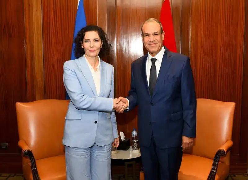 وزير الخارجية: الجهود المصرية مستمرة لتثبيت وقف إطلاق النار وتسهيل وصول المساعدات إلى غزة