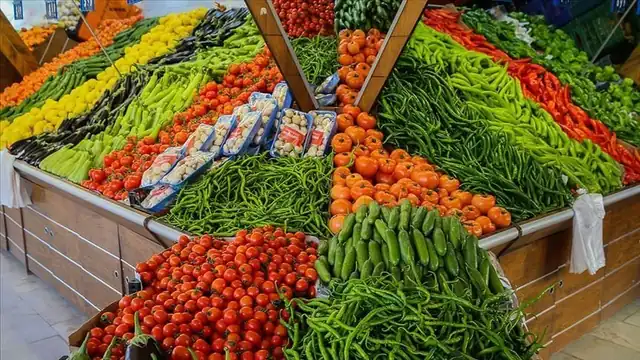 استقرار أسعار الخضروات اليوم في الأسواق